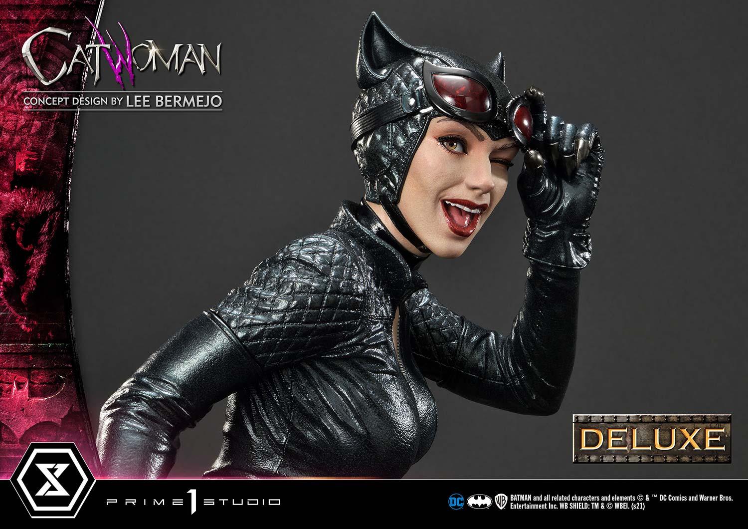Rubie's Women's Catwoman Deluxe Goggles Mask